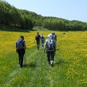 S6200-20160605-DSCN2637
