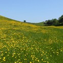 S6200-20160605-DSCN2638
