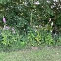 20230701-Phone--55